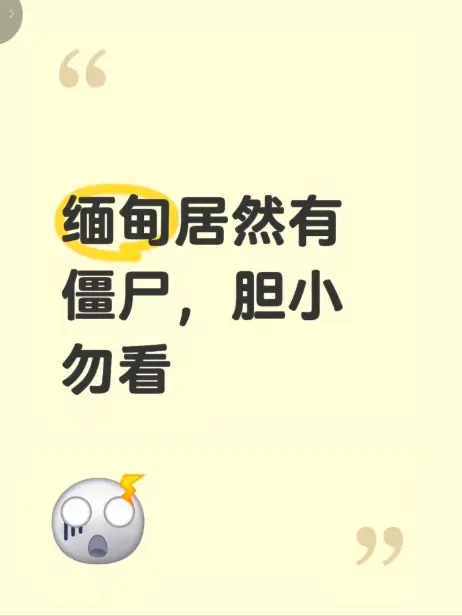 《缅甸僵尸出土事件》高清完整版在线免费播放-揭秘缅北神秘僵尸出土真相-最新无删减资源