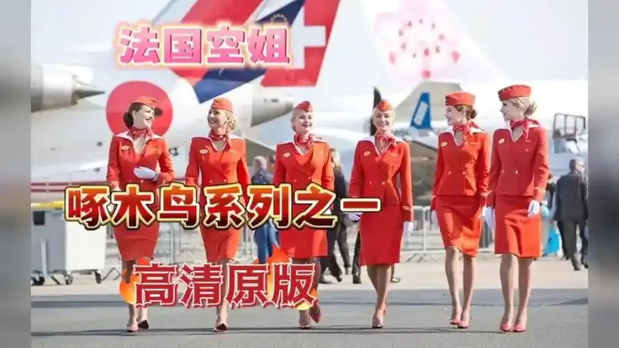 《法国空姐4》资源下载-法国空姐4全季无卡顿高清4K完整版免费在线观看