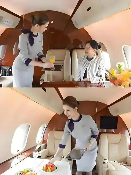 《私人航空/法国航空》未删减版HD高清在线观看-私人航空/法国航空完整版免费播放-无弹窗尽享全集